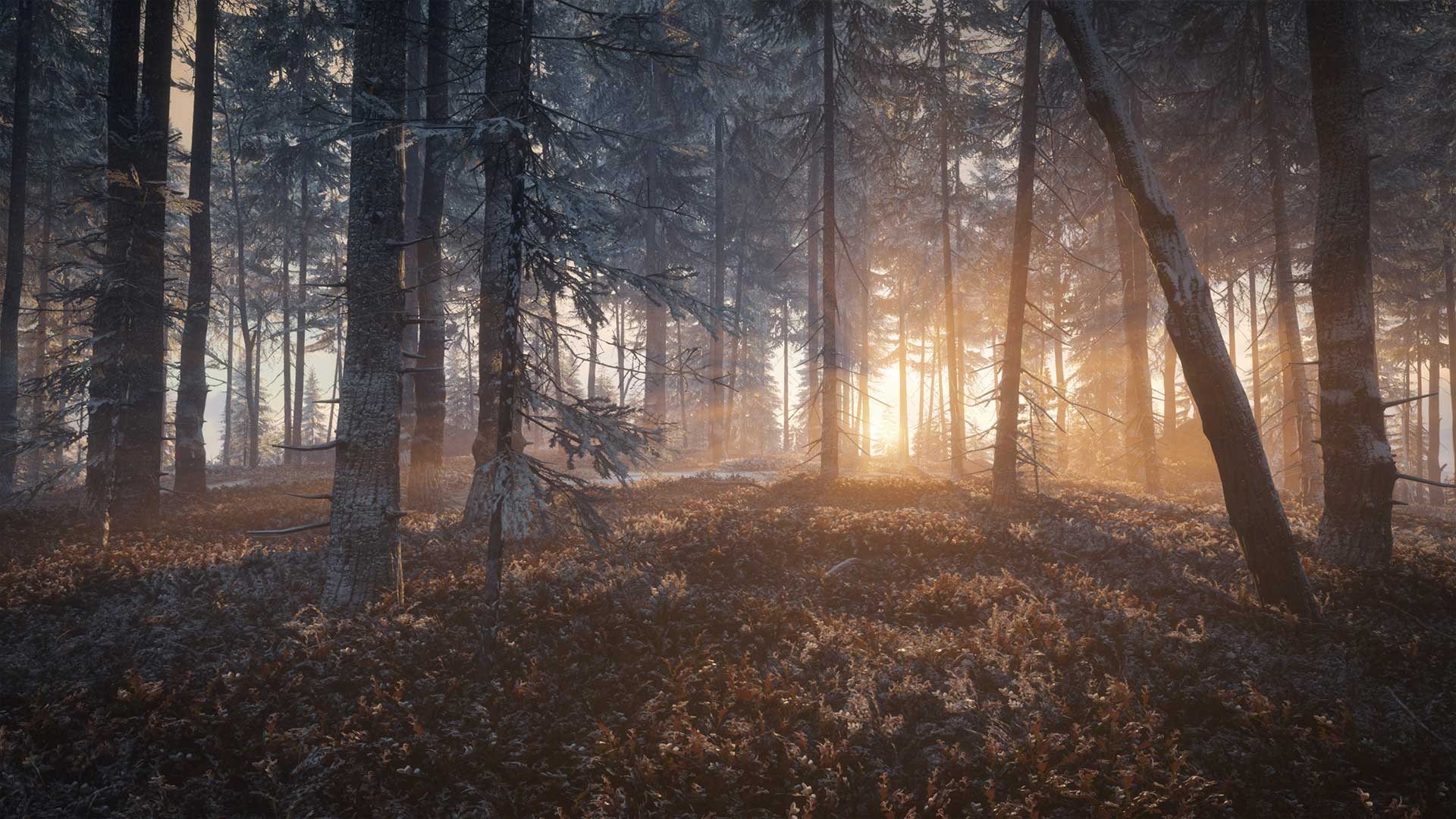 screenshot forest