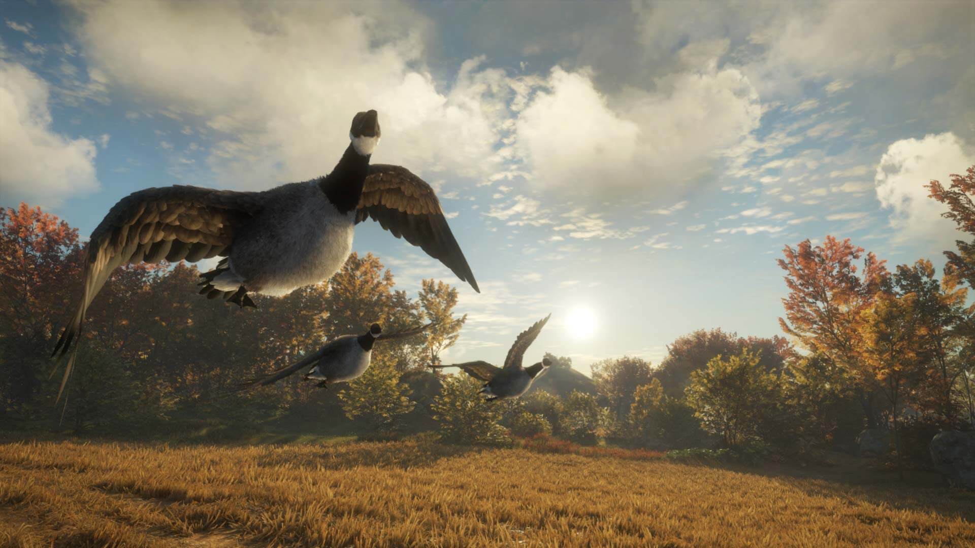 screenshot goose
