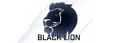 black lion banner 2020