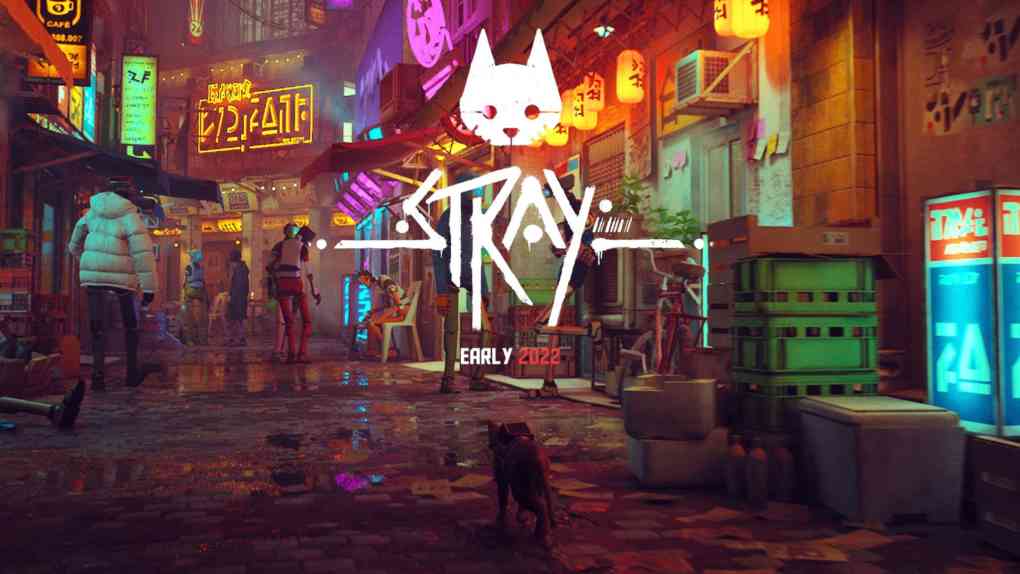 stray cover
