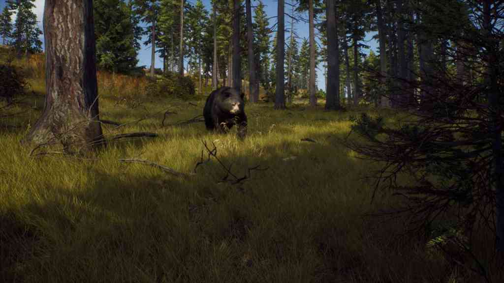 way of the hunter screenshot 1