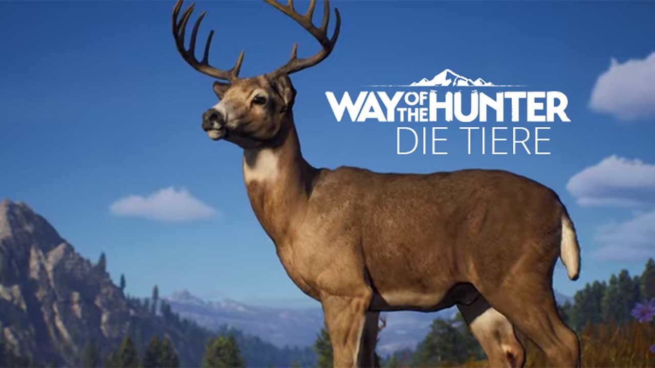 way of the hunter tiere
